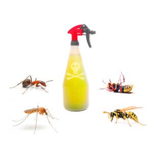 Plastic sprayer with insecticide and stinging insect, mosquito,wasp, hornet, ant.